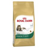 Maine Coon