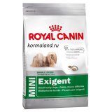 Mini Exigent