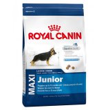 Maxi Junior