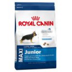 Maxi Junior