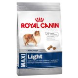 Maxi Light