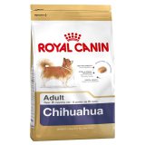 Chihuahua (Чихуахуа)