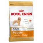 Poodle (Пудель)