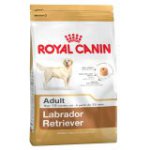 Labrador Retriever (Лабрадор ретривер)