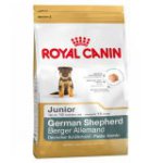 German Shepherd (Немецкая овчарка) Junior