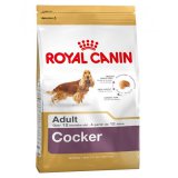 Cocker (Кокер-спаниель)