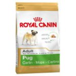 Pug (Мопс)