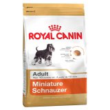 Miniature Schnauzer (Миниатюрный шнауцер)