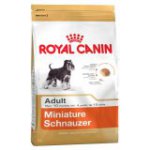 Miniature Schnauzer (Миниатюрный шнауцер)