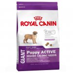Giant Puppy Active