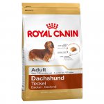 Dachshund (Такса)