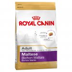 Maltese (Мальтийская болонка)