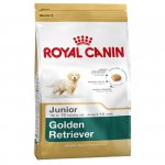 Golden Retriever (Голден ретривер) Junior