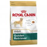 Golden Retriever (Голден ретривер)