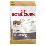 Bulldog (Бульдог)