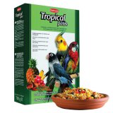 Tropical Patee